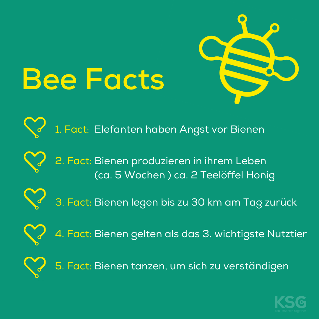 Bienen Facts